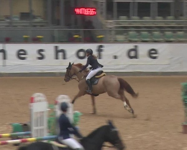 Reitturnier Kreuth 2018