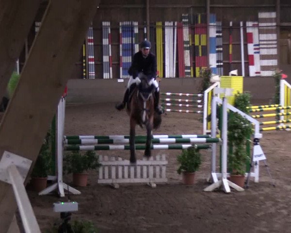 Reitturnier Hamburg-Hummelsbüttel 2018