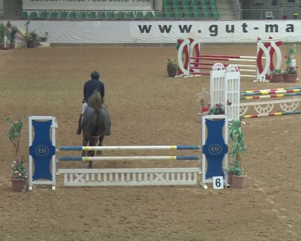 Reitturnier Kreuth 2018