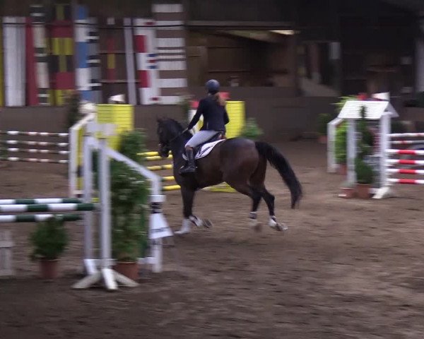 Reitturnier Hamburg-Hummelsbüttel 2018