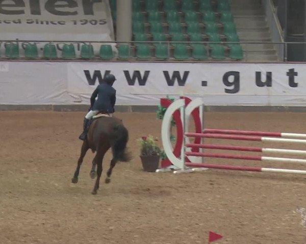 Reitturnier Kreuth 2018