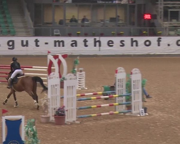 Reitturnier Kreuth 2018