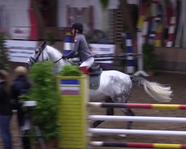 Reitturnier Hamburg-Hummelsbüttel 2018