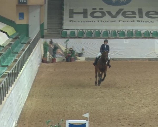 Reitturnier Kreuth 2018