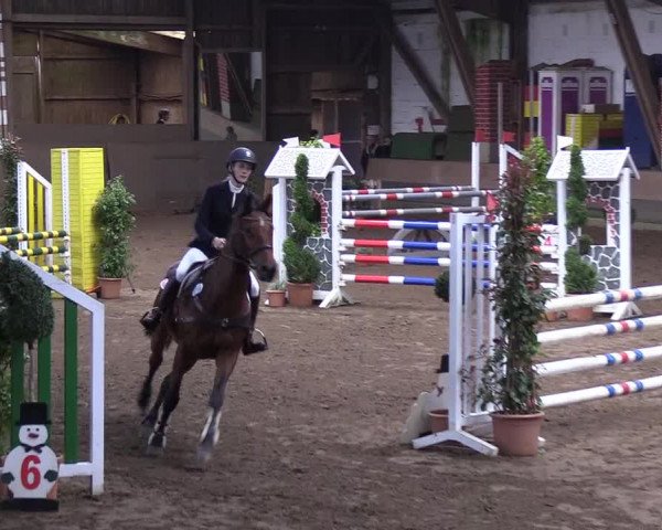 Reitturnier Hamburg-Hummelsbüttel 2018