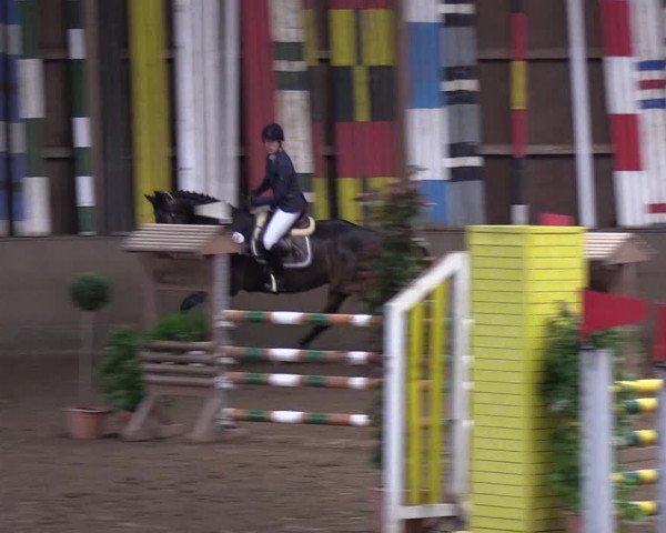 Reitturnier Hamburg-Hummelsbüttel 2018