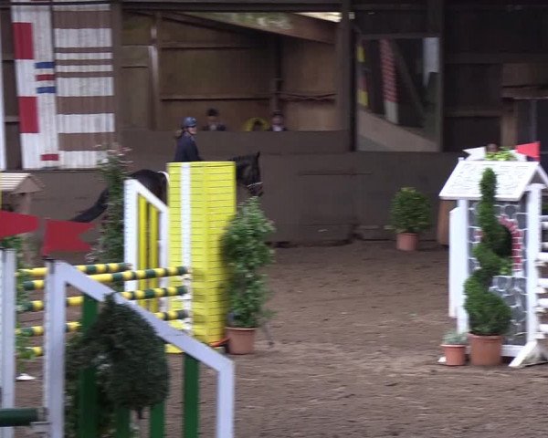 Reitturnier Hamburg-Hummelsbüttel 2018
