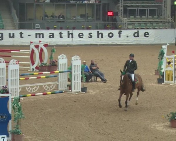 Reitturnier Kreuth 2018