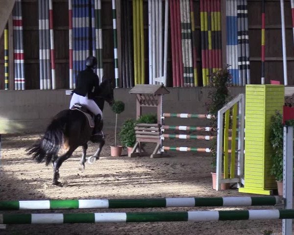 Reitturnier Hamburg-Hummelsbüttel 2018