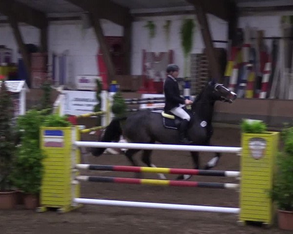 Reitturnier Hamburg-Hummelsbüttel 2018