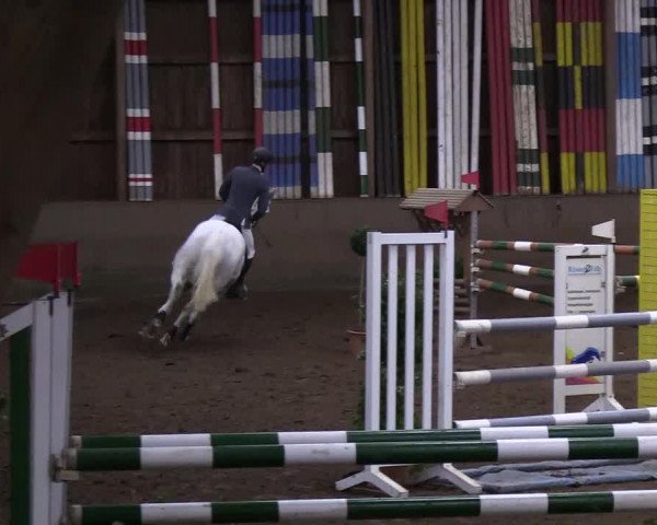 Reitturnier Hamburg-Hummelsbüttel 2018