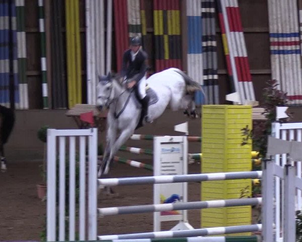 Reitturnier Hamburg-Hummelsbüttel 2018