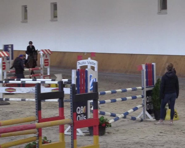 Reitturnier Freudenberg 2018