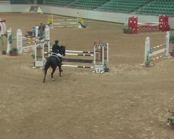 Reitturnier Kreuth 2018