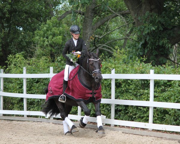 dressage horse Lobito Calling (Pony without race description, 2008, from Jaico)