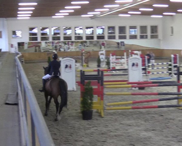 Reitturnier Freudenberg 2018