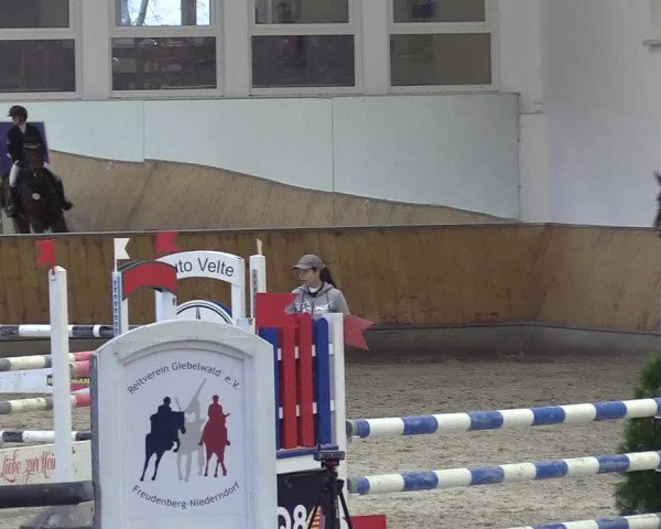 Reitturnier Freudenberg 2018