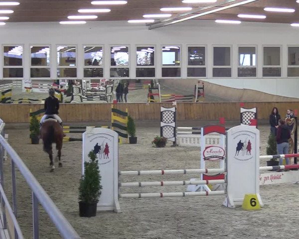 Reitturnier Freudenberg 2018