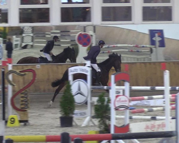 Reitturnier Freudenberg 2018
