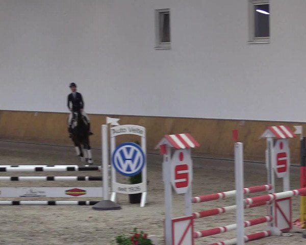 Reitturnier Freudenberg 2018