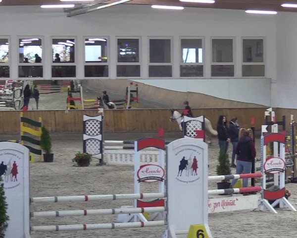 Reitturnier Freudenberg 2018