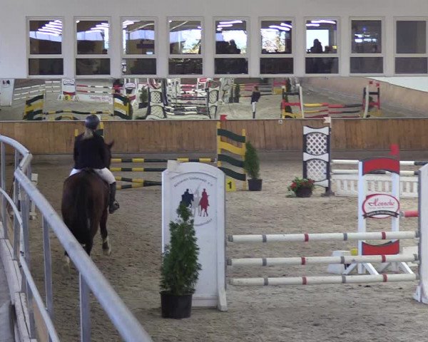Reitturnier Freudenberg 2018