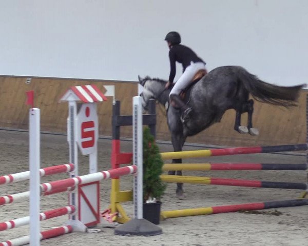 Reitturnier Freudenberg 2018