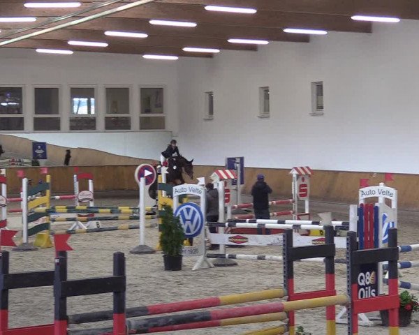 Reitturnier Freudenberg 2018