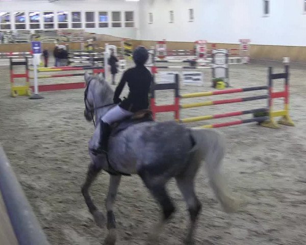 Reitturnier Freudenberg 2018