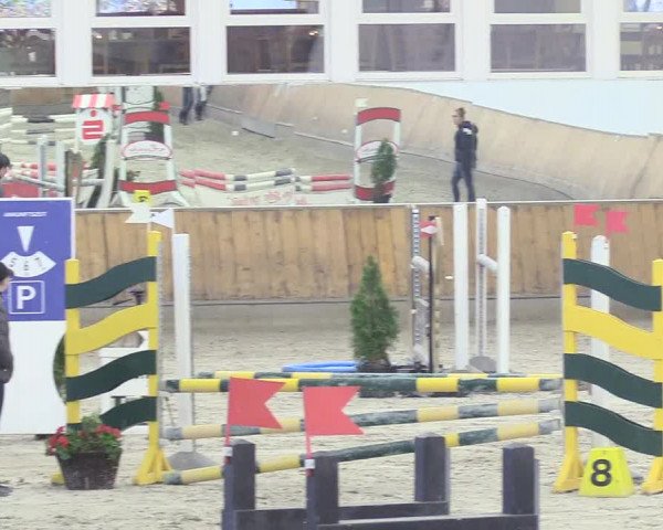 Reitturnier Freudenberg 2018