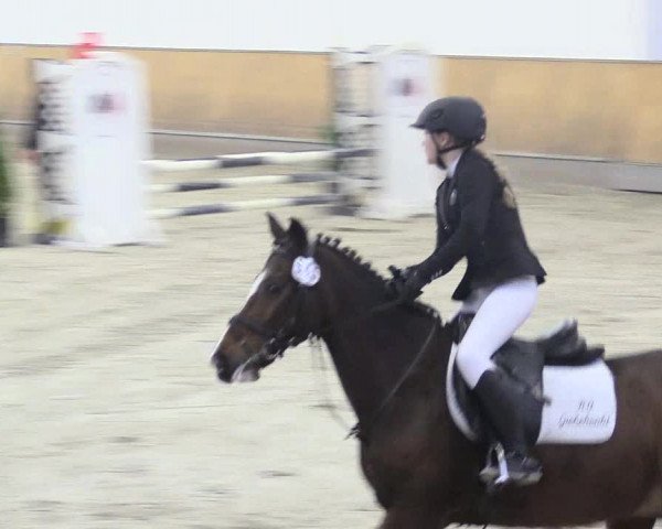Reitturnier Freudenberg 2018