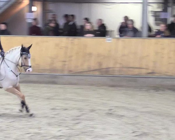 Reitturnier Freudenberg 2018