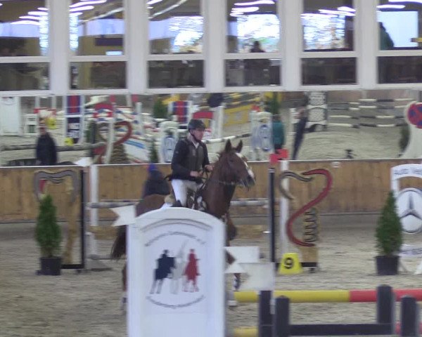 Reitturnier Freudenberg 2018