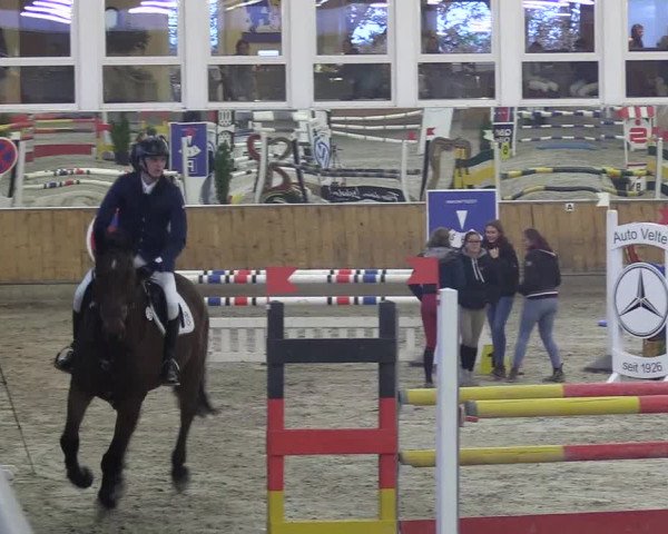 Reitturnier Freudenberg 2018