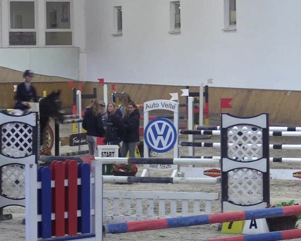 Reitturnier Freudenberg 2018