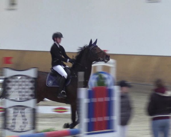 Reitturnier Freudenberg 2018