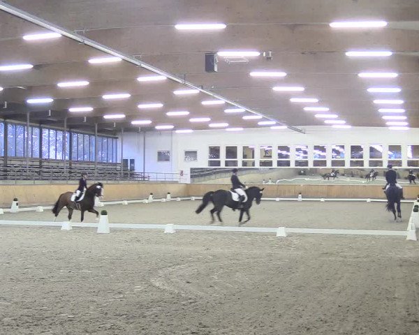 Reitturnier Freudenberg 2018