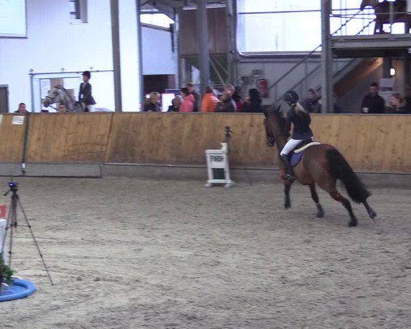 Reitturnier Freudenberg 2018