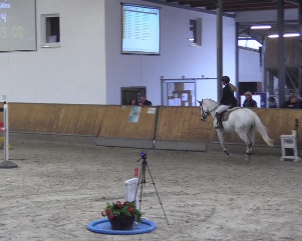 Reitturnier Freudenberg 2018
