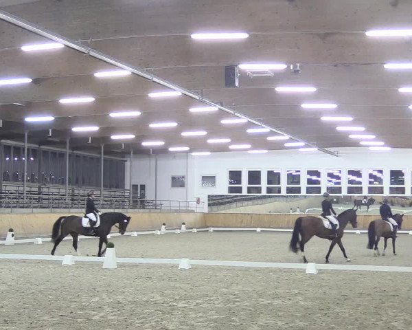 Reitturnier Freudenberg 2018