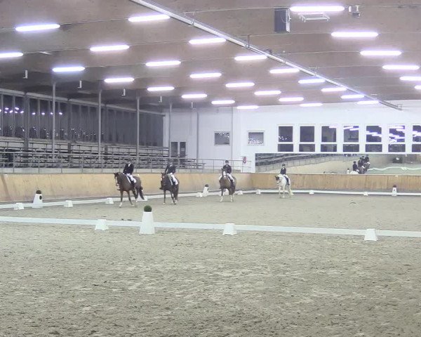 Reitturnier Freudenberg 2018