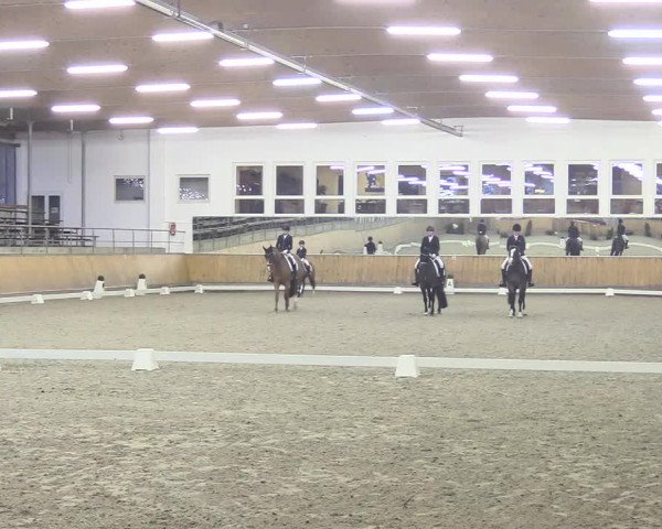 Reitturnier Freudenberg 2018