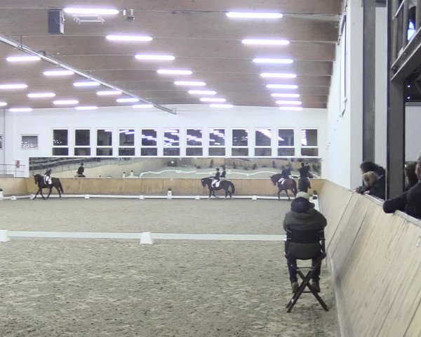 Reitturnier Freudenberg 2018