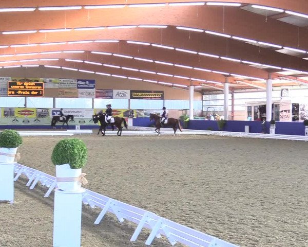 Reitturnier Isterberg 2018