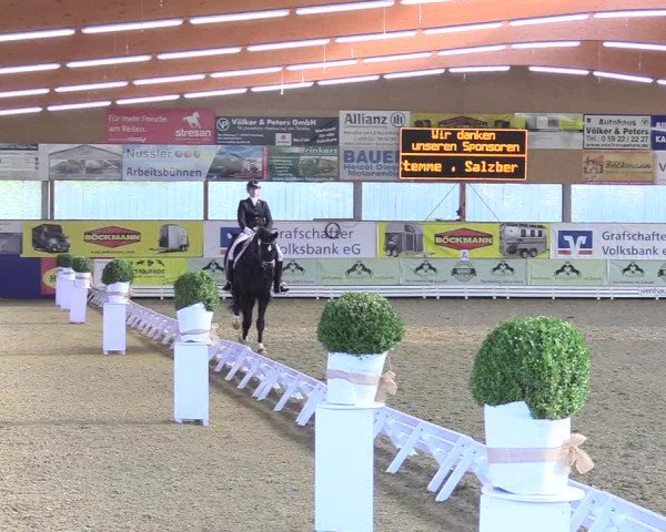 Reitturnier Isterberg 2018
