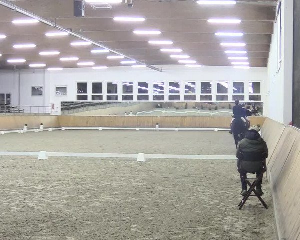 Reitturnier Freudenberg 2018