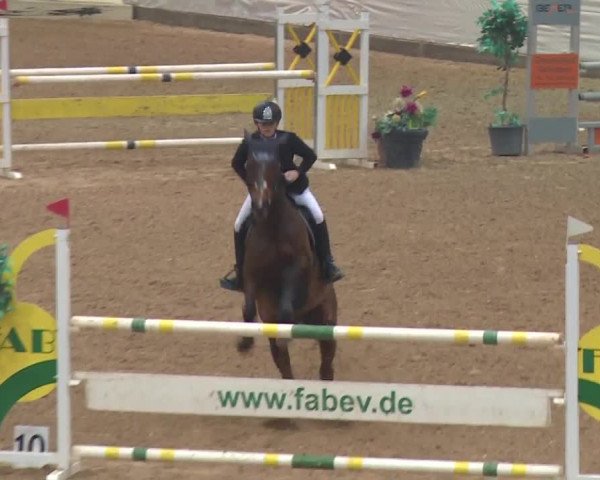 Reitturnier Kreuth 2018