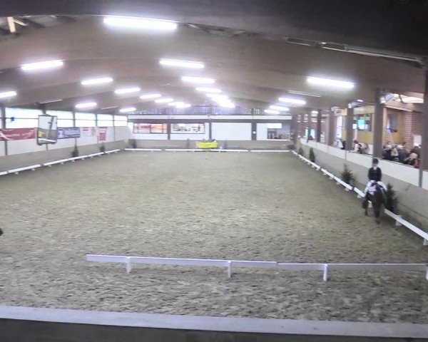 Reitturnier Vlotho-Valdorf 2018