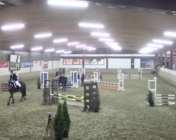 Reitturnier Vlotho-Valdorf 2018