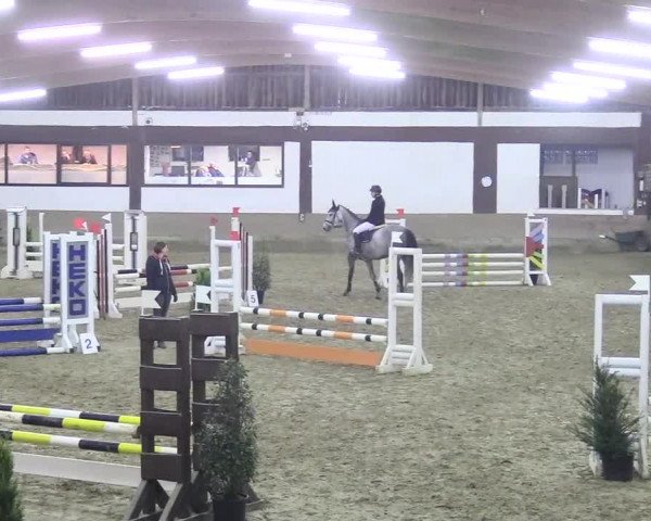 Reitturnier Vlotho-Valdorf 2018